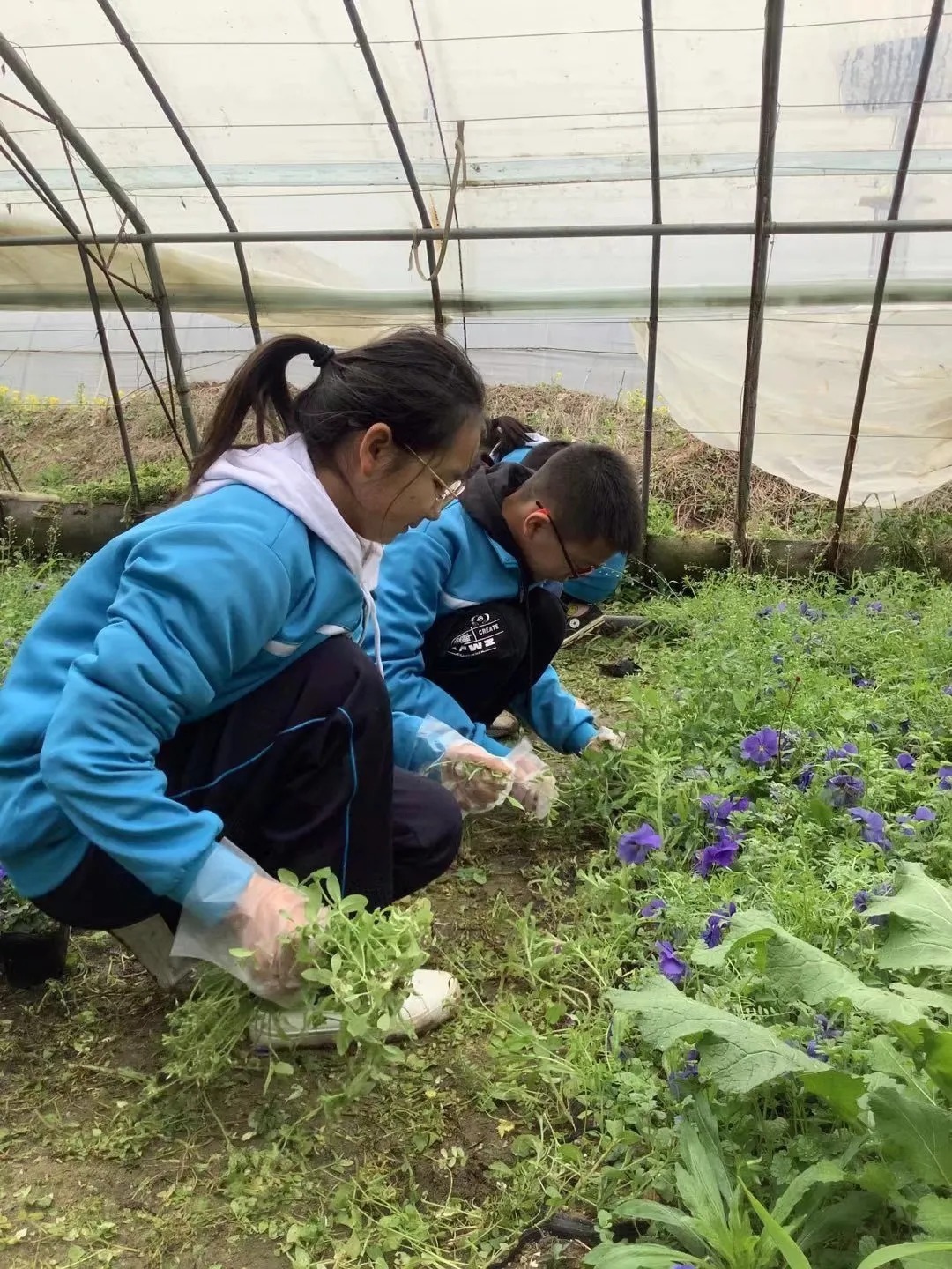 行走的课堂 灵动的童年：随州外国语学校南关口校区高段班级社会实践活动