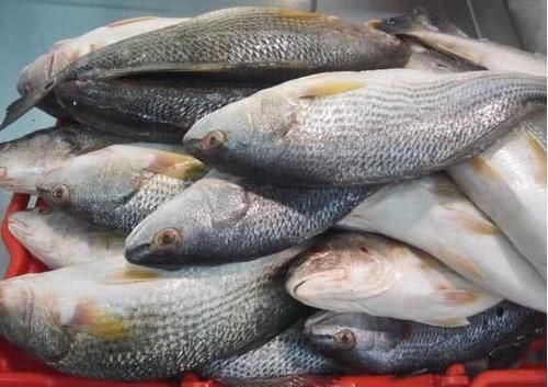  寄生虫|3种“最脏”的鱼，寄生虫超多，很多人不知，还经常买来吃