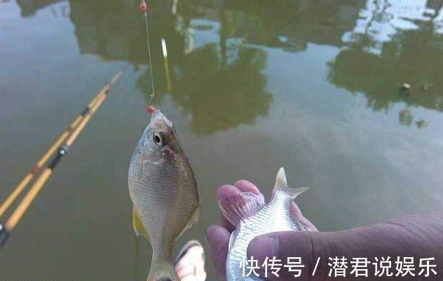 小鱼多|夏季钓鱼钓位很关键,不想当空军就别频繁换钓位!