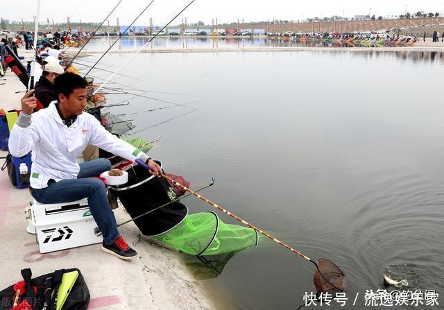 钓场|“因为蹭窝,他往水里丢了块砖”,黑坑最易引发矛盾的3件事