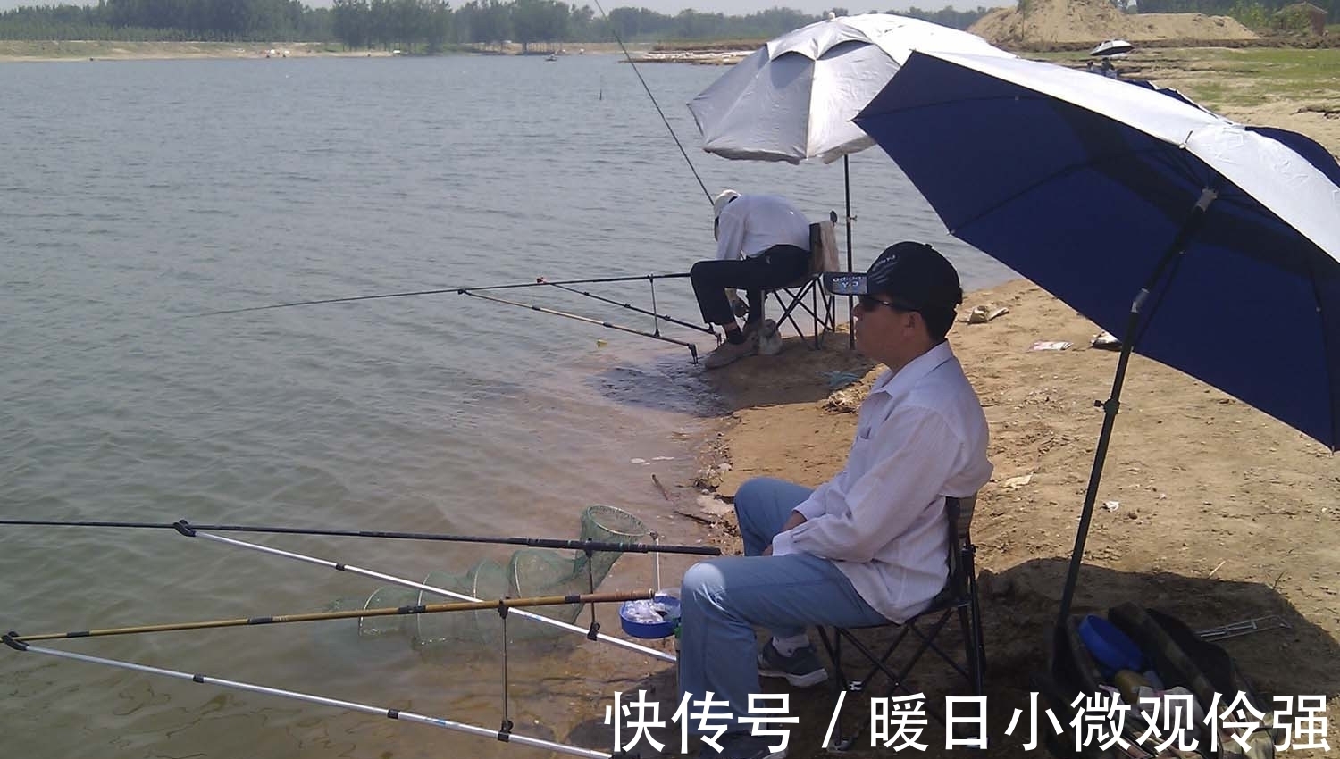 鱼类|夏天野钓,饵料中为什么要加酒、糖和果酸?夏天野钓的用饵方法