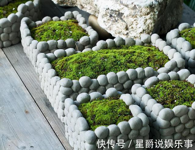 花草|6种花盆,不适合养花,难怪长势不好,扔了吧