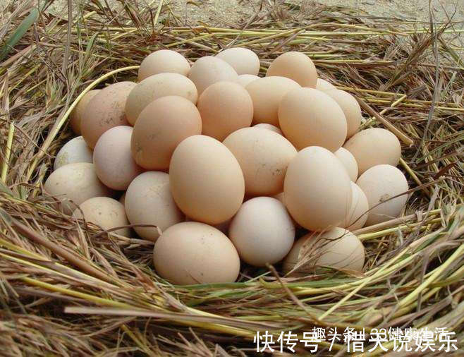 此物|立秋后,鸡蛋和此物一起煮,腰不痛了,腿不软了,男女不妨试试