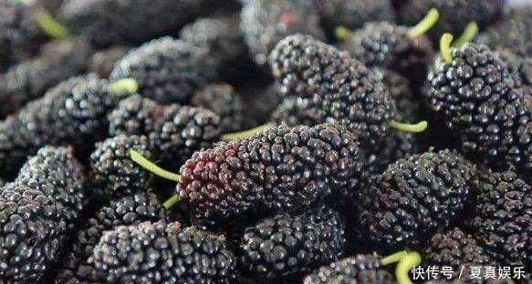 此物泡酒有效缓解头晕目眩、益于清热明目，延缓衰老等6大作用