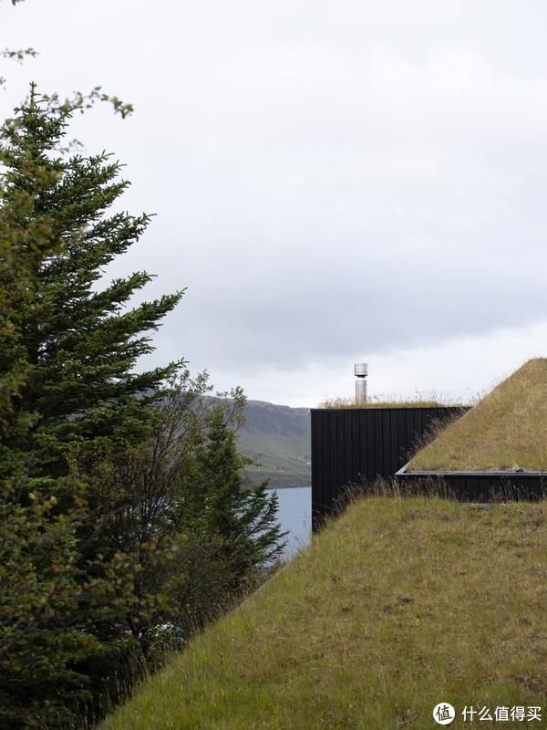 湖面|年薪百万的设计师,让千万豪宅,长满杂草,网友却夸:设计太好了