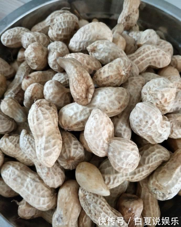 每月给婆婆交500元，一日三餐婆婆全管，你们看看这伙食值不值