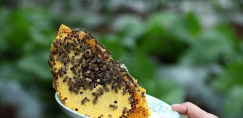 买蜂蜜,结晶还是不结晶的好?之前搞错了,难怪买了“假”蜂蜜