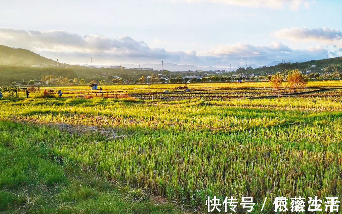 松花糕|它被誉为中国十大魅力古镇之首，为何那么令人向往？