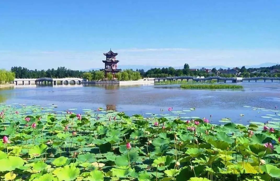 情系|根在岐山 情系西岐