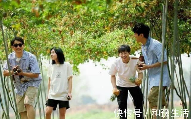 黃磊透露《向往的生活》未來狀況,或將停播?網友評論太意外!