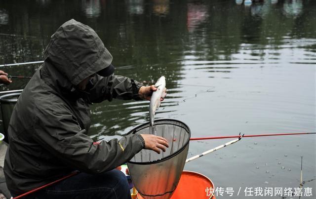 中午水温升高不好钓鱼做好这几点,让闭口鱼快速咬钩