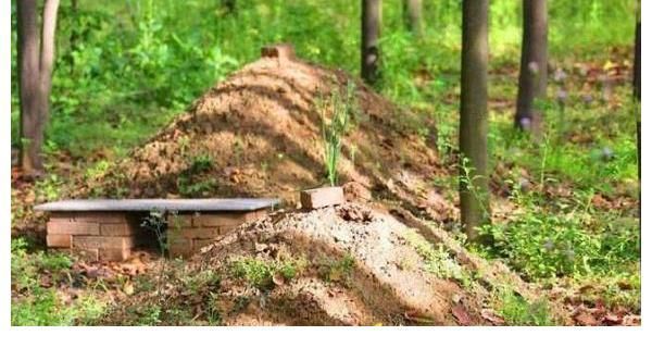 敬意#传承千年的土葬制度被改火葬,为何北大教授会说:遗体当垃圾处理