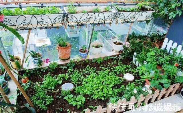 设计|原来阳台还可以这样设计,功能多又漂亮,进门就让人眼前一亮