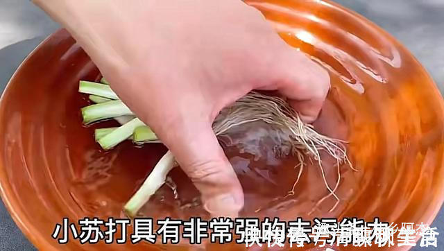 搅拌均匀|扔葱根等于扔钱，葱根原来是个宝，作用这么厉害，太实用了