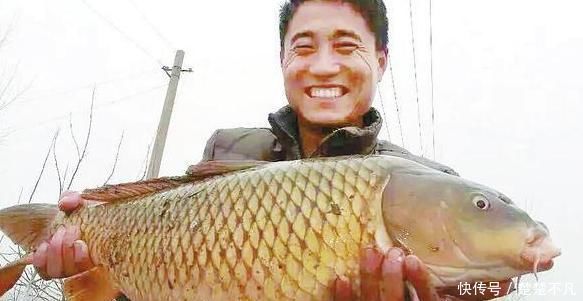 营养|提醒少吃3种鱼,营养少有害物质多,常吃疾病可能会找你