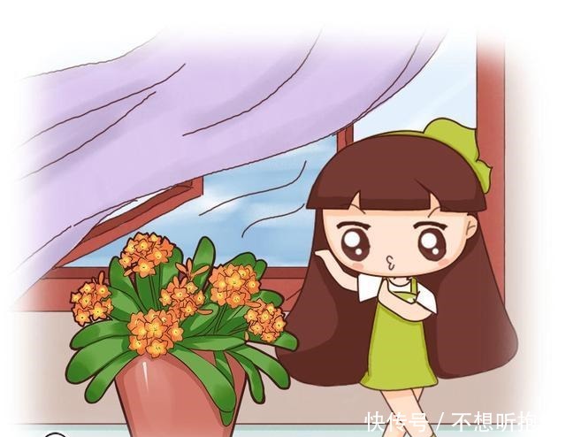 天气冷了,这3种花不要着急搬到室内,越冷长得越好!