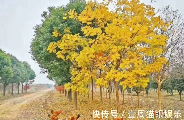 大学生!站在不同高度感受《道德经》,所得将完全不同