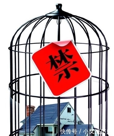 直白点|有钱人正从别墅搬回高层,别墅“不吃香”了?“3大硬伤”很真实