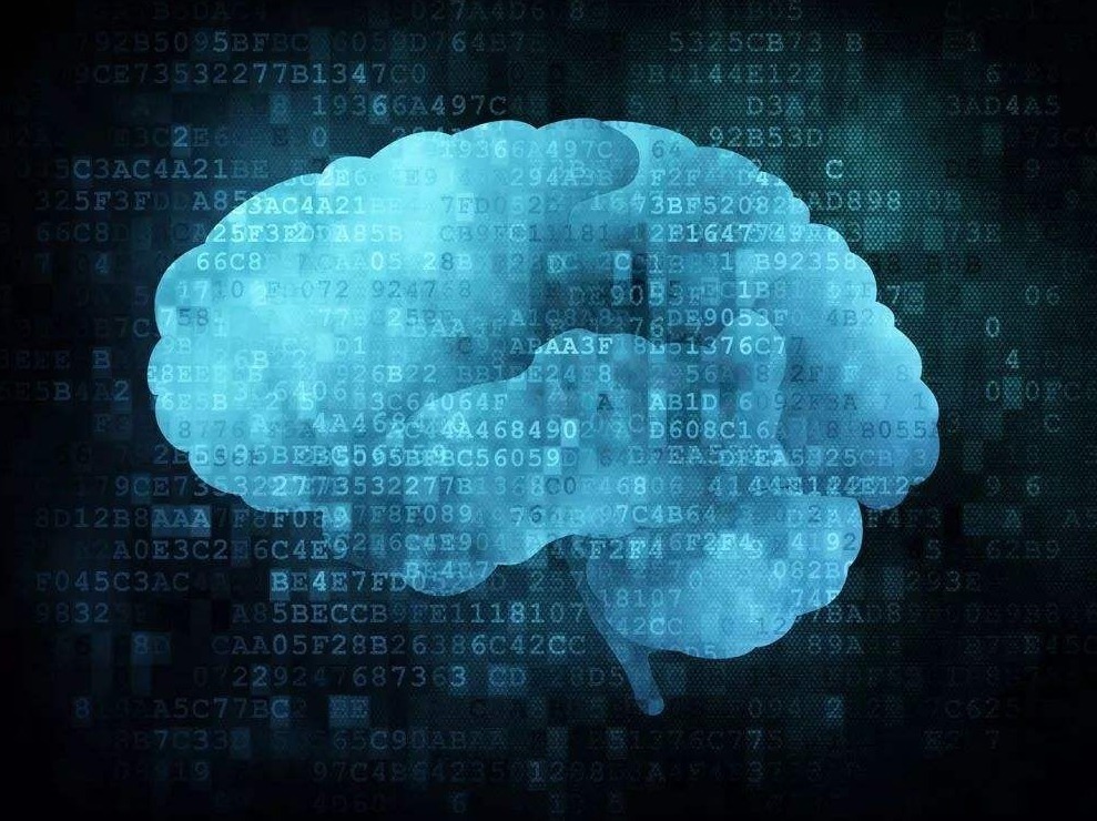 宝宝|哈佛最新研究孩子一生只有3次脑部发育高峰期,至少要抓住一次