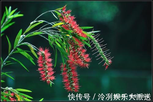 乖巧|阴历哪个月出生的孩子,聪慧过人,会替父母分忧解难,大有出息