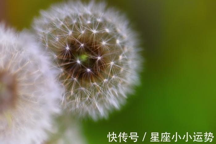 姻缘|未来2个月,被月老点鸳鸯,收获姻缘,享受爱情的3大生肖