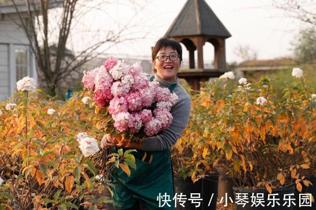 植物|12年搬家13次,43岁的她终于送给女儿3000平米超大花园