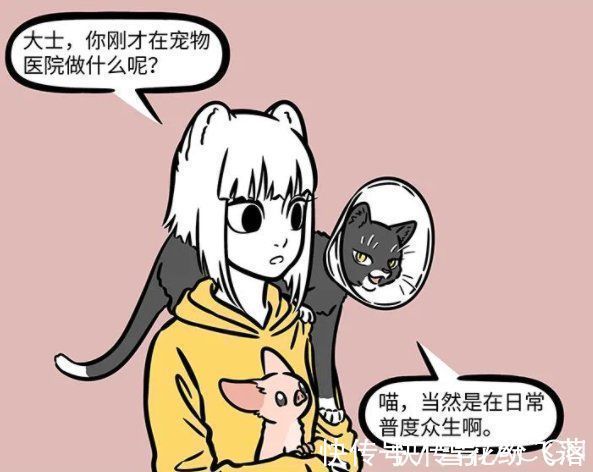 狸力|非人哉:大士真的太善良了,化身成猫被绝育了,依然不忘普度世人