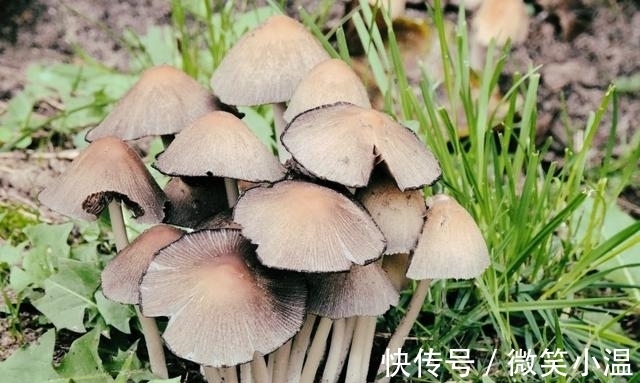 格局|未来一周运势火力全开，事业格局大顺，终于要翻身