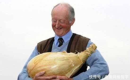 中国|最奇葩的吉尼斯纪录:中国的很特别,日本的太搞笑,网友表示不服