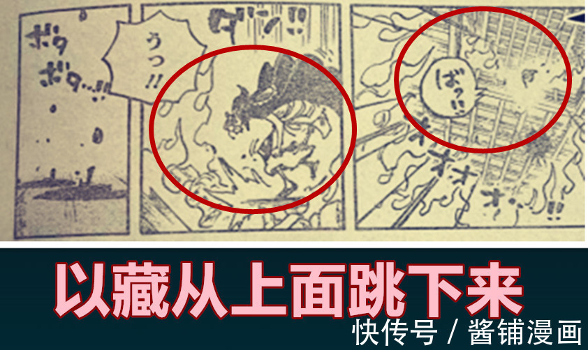 白胡子海贼团|海贼王,CP0自称为神盾零,甚平被尾田困住并且被雪藏