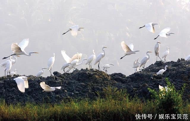 海南|这里是海南——处处美景犹如画