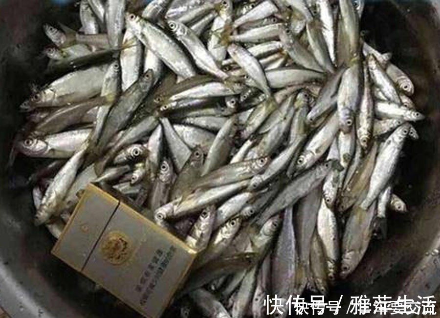 白条闹钩，被钓友所唾弃，总结7种应对方法