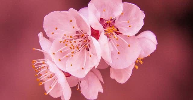 女人!真正有气质的女人,都有这几个特征