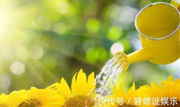 淘米水|很多人问淘米水能直接浇花吗一个步骤教你将其变成绝佳肥料!