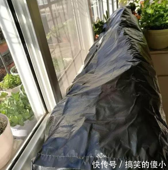 4种花专挑秋天爆盆，养一盆连续爆花3个月，花多花美