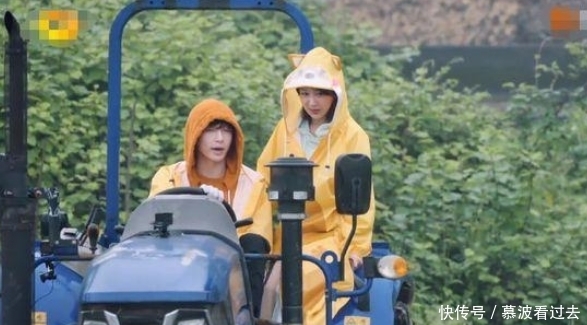 黄磊 杨紫张艺兴太好磕了 !简直就是偶像剧