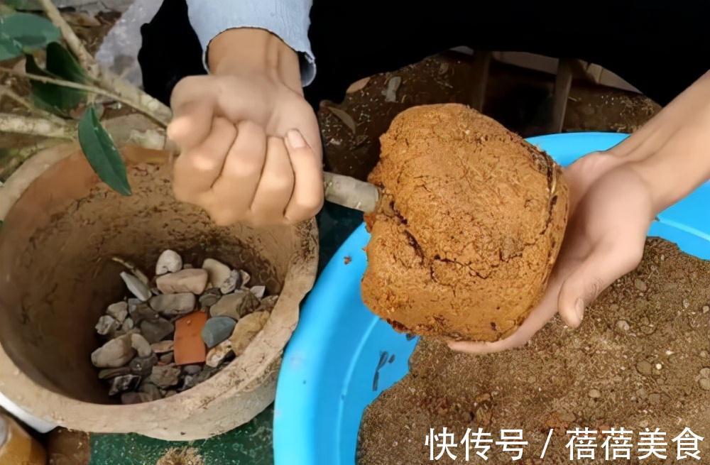 养花的“旧土”加点“废物”,又肥的流油,养花一级棒