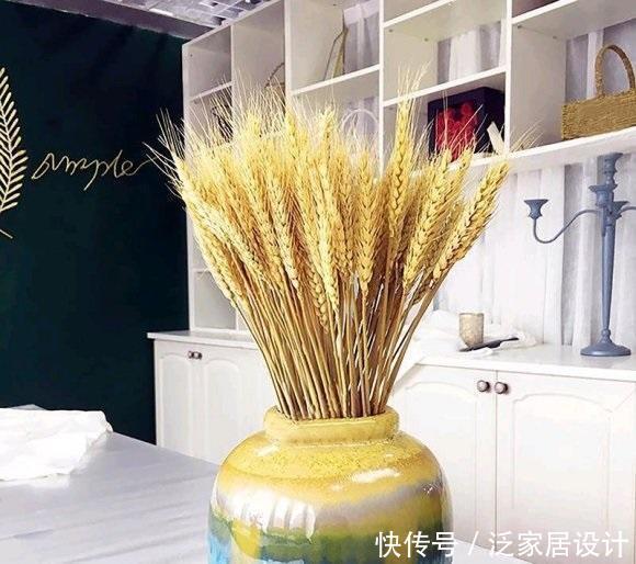卧室花瓶插什么花最好 卧室花瓶插什么花最好
