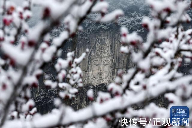 何家岩村|白雪却嫌春色晚，故穿庭树作飞花