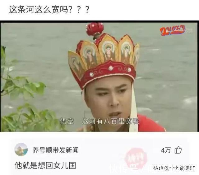 |搞笑合集:媳妇出差在酒店给我发的照片,桌子上那是胶水吗?