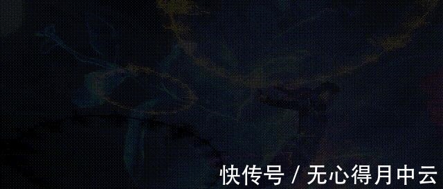 动画|斗罗大陆短暂的重逢，134集预告画面流出，唐三重伤
