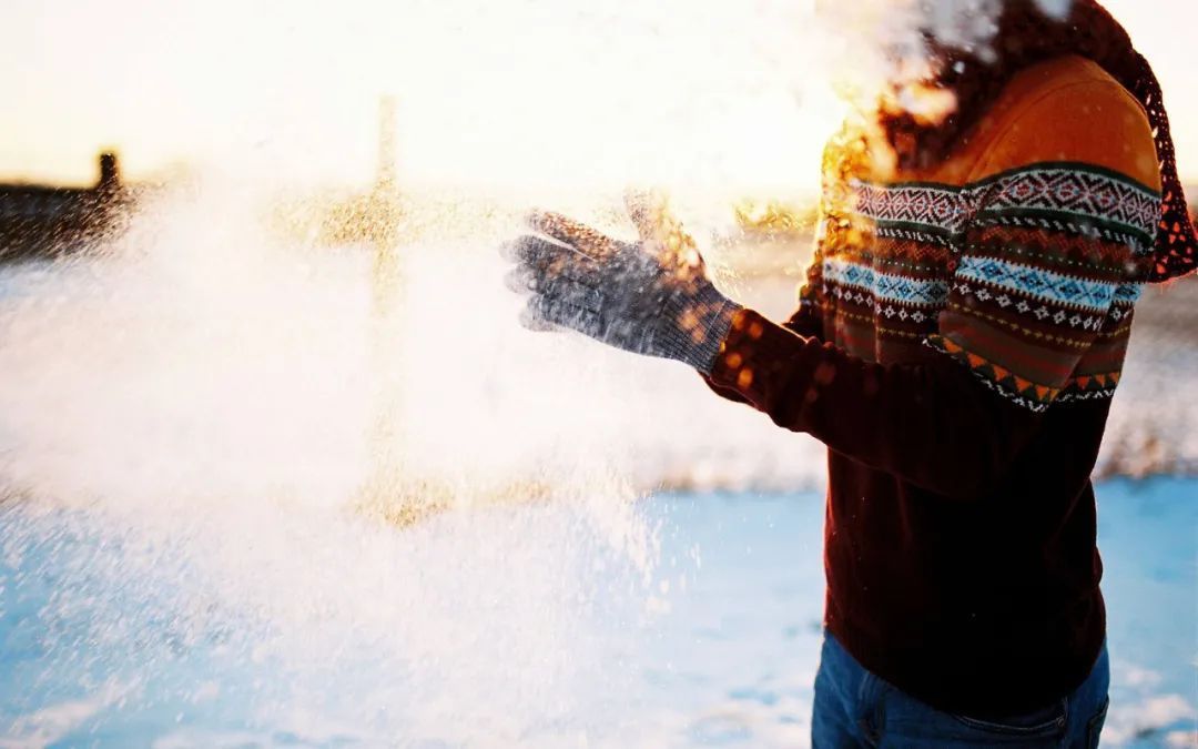 黄芪|养生大学问,喝水的时候,加上这味中药材,或能起到奇妙的作用