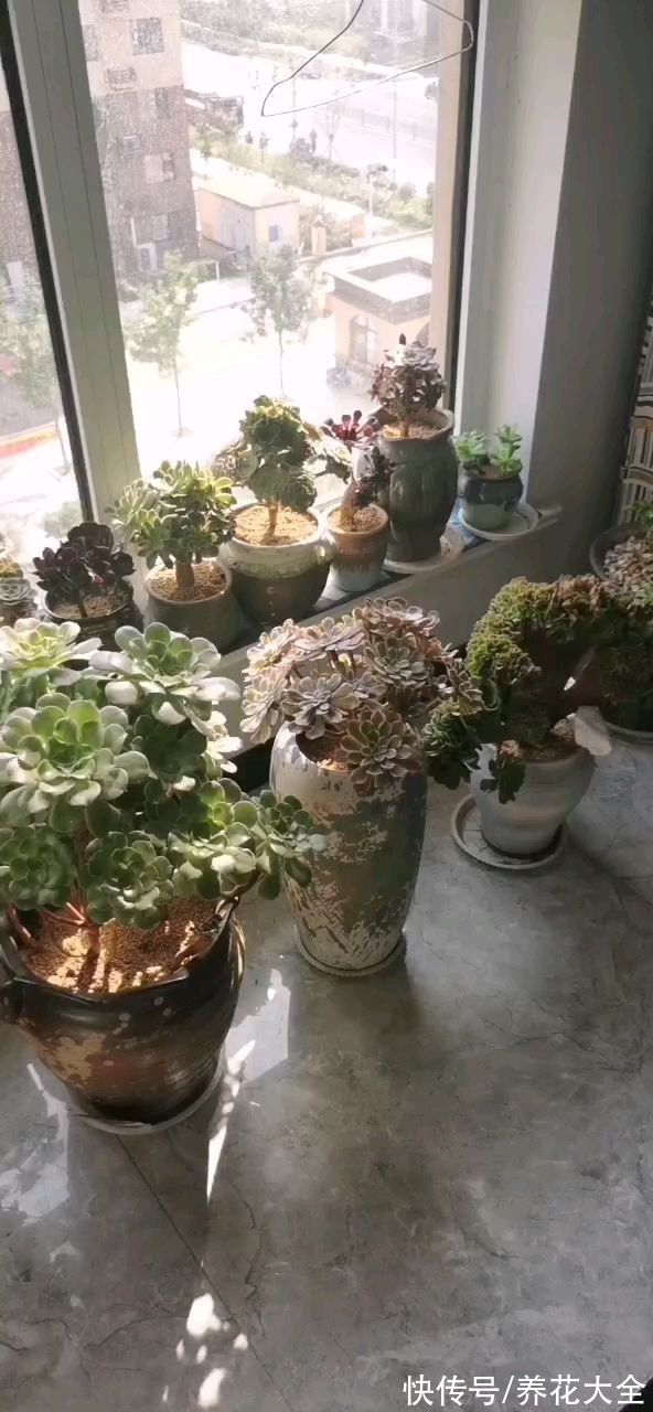 年底在家大扫除，记住5个小妙招，省时省力干干净净