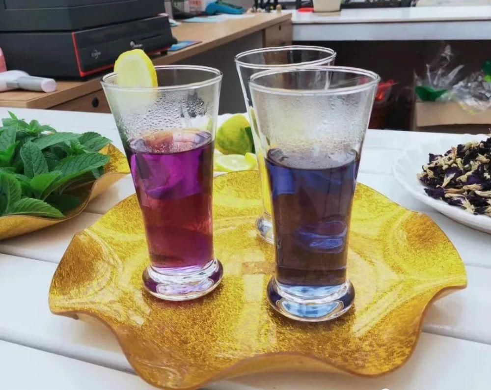 老年|新春沉醉花海,共游壮美叠彩!