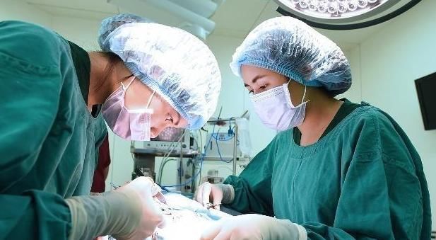 枸杞|退休中医:枸杞和它天生搭档,坚持喝,3天肾补满,肝也干干净净