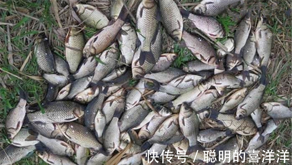 冬季钓鱼,技巧无非6个“小”,掌握这些要点,没有不爆护的道理