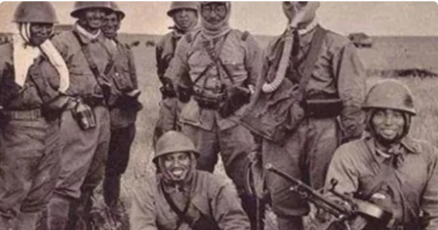 日本|二战中有一种人不能杀，日本偏下狠手，结果17万日军全部陪葬