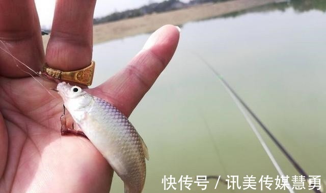 秘诀|玉米钓鱼有秘诀？看别人用就能上钓大鱼，为何你至今一条没钓到