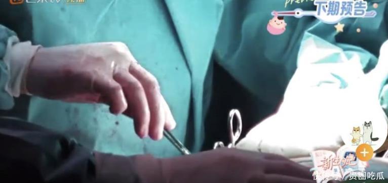 收视|千万报酬吸引陈小春,两夫妇为综艺效果和收视,公开产子过程