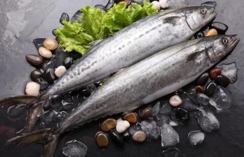 多宝鱼|夏季吃鱼，优先选择这五种鱼，营养美味无小刺，很适合老人和孩子